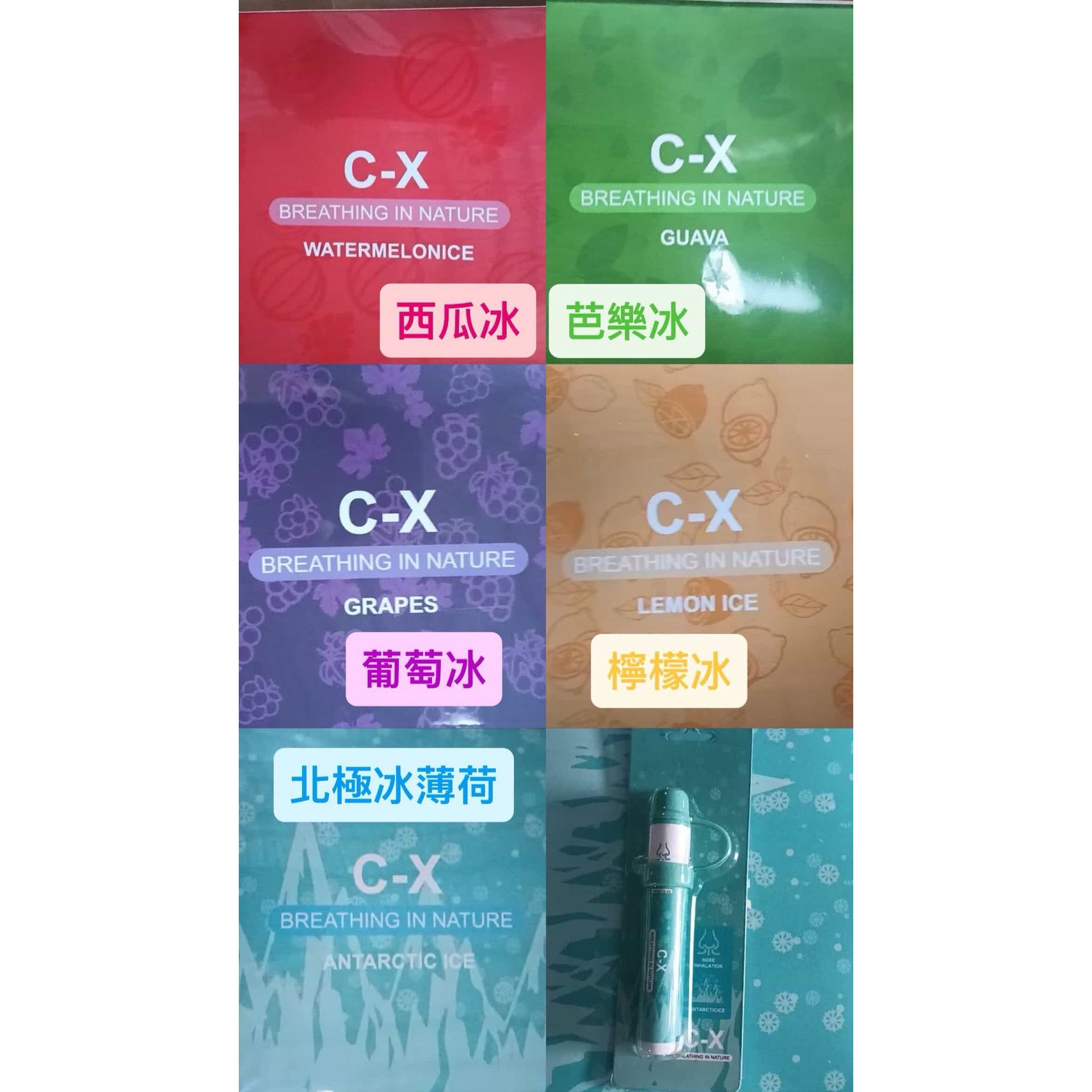 C-X電子鼻通棒 600-800口